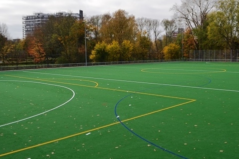 Gr&uuml;nes Sportfeld mit Linienmarkierungen und herbstlich gef&auml;rbten B&auml;umen im Hintergrund.