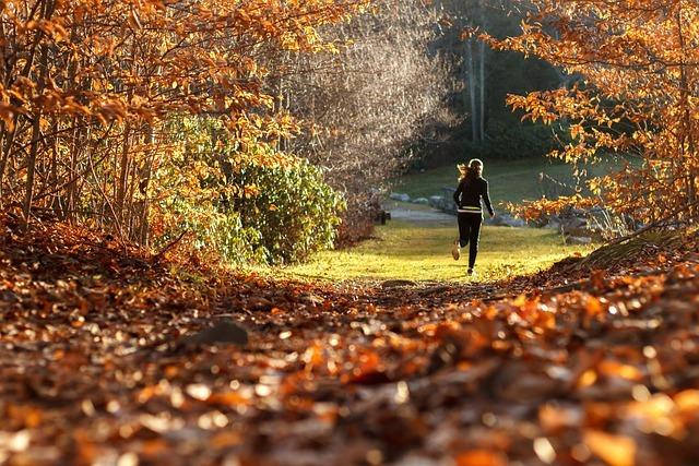 L&auml;uferin joggt durch einen mit Herbstbl&auml;ttern bedeckten Trail in einer sonnigen Landschaft.