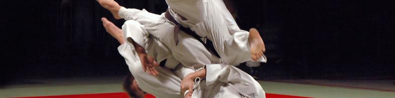 Zwei Judoka in weißen Anzügen führen einen Wurf auf einer Tatami mit rotem Rand aus.