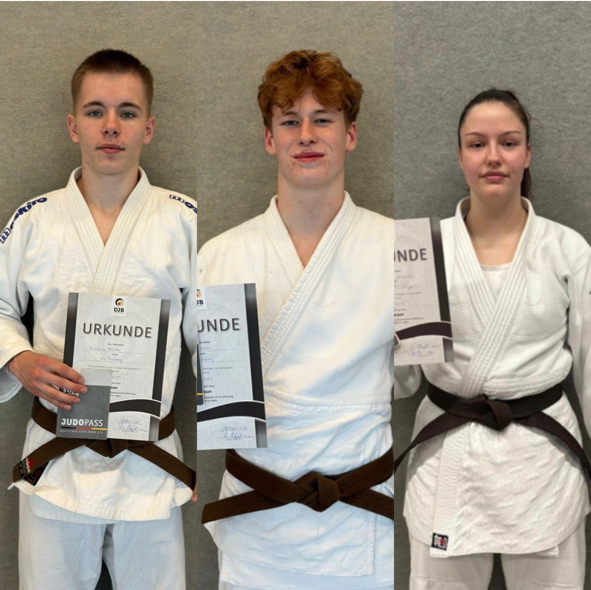 Drei Judoka in weißen Gi halten Urkunden, jeweils mit braunem Gürtel, vor einem grauen Hintergrund.