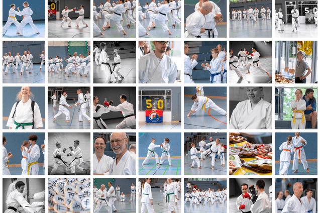 Mehrere Karateka in wei&szlig;en Anz&uuml;gen &uuml;ben verschiedene Techniken in einer Sporthalle w&auml;hrend eines Trainingslagers.