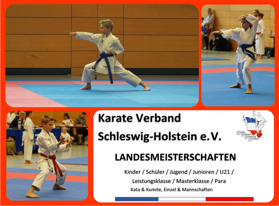 Kinder in Karate-Kleidung zeigen verschiedene Techniken bei den Landesmeisterschaften in Schleswig-Holstein.