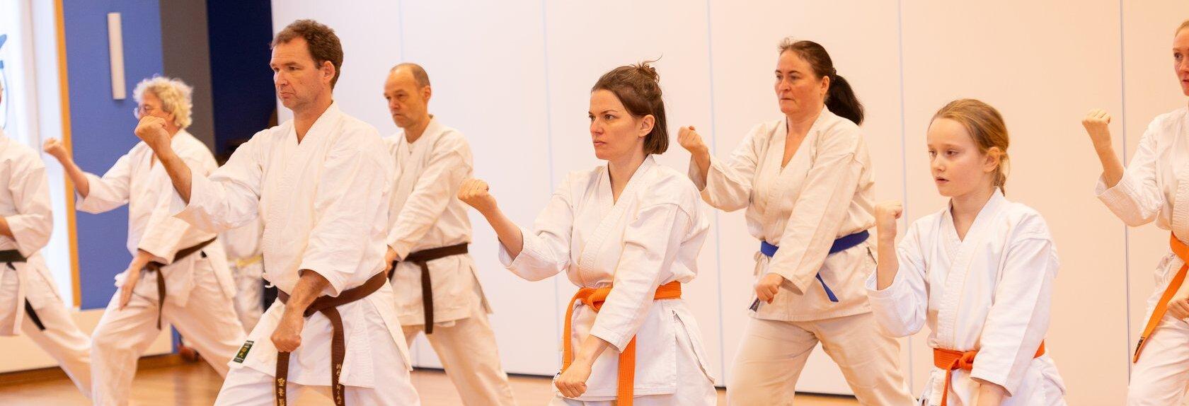 Gruppe von Personen in Karateanz&uuml;gen mit verschiedenen G&uuml;rtelfarben in Kampfstellung in einem Trainingsraum