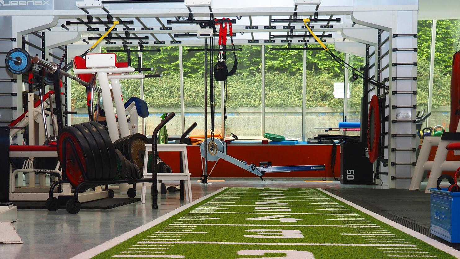 Fitnessstudio mit grüner Trainingsfläche, Hanteln, verschiedenen Geräten und Fenstern mit Blick ins Freie.