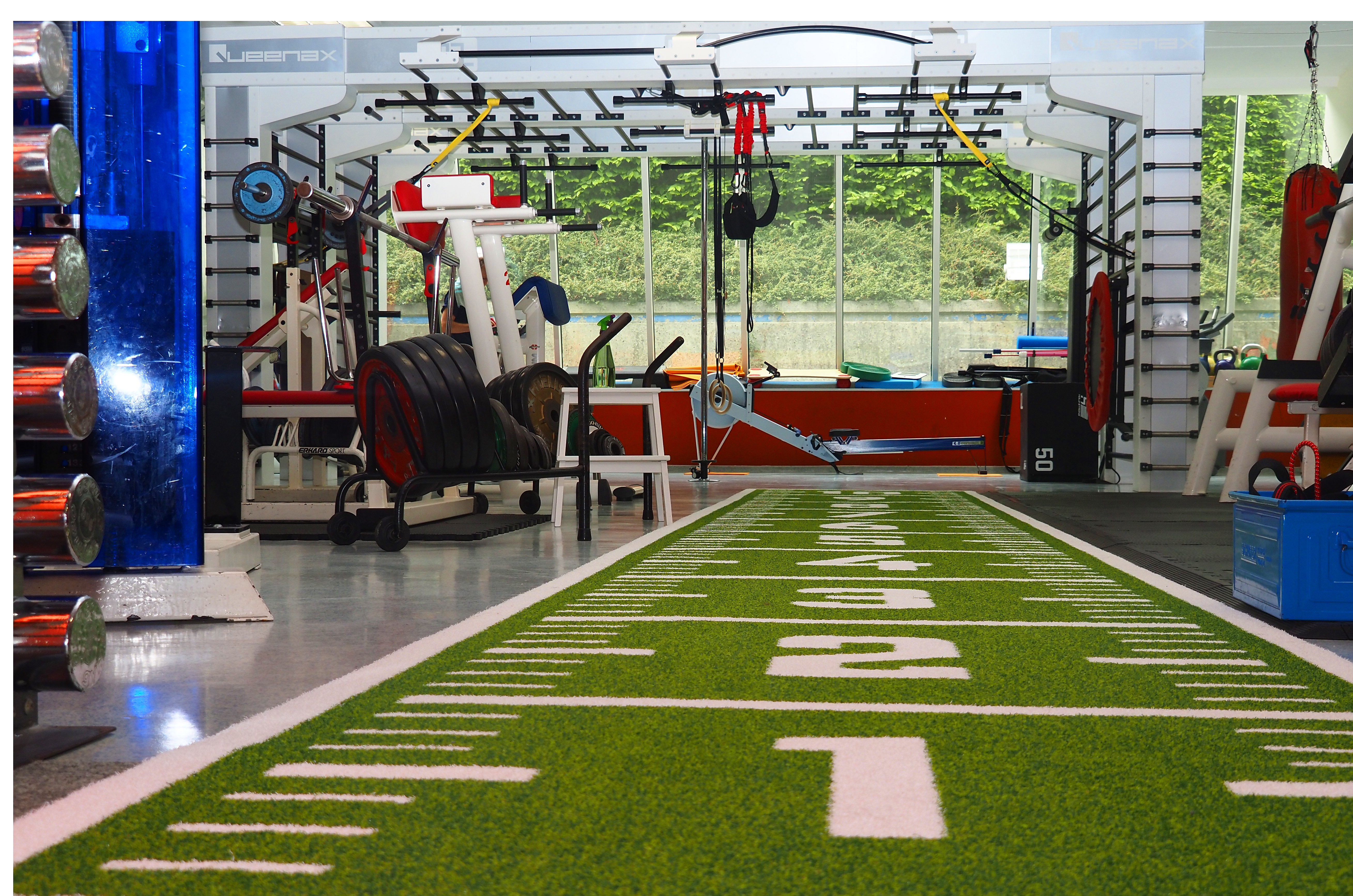 Fitnessstudio mit grüner Trainingsfläche, Hanteln, verschiedenen Geräten und Fenstern mit Blick ins Freie.