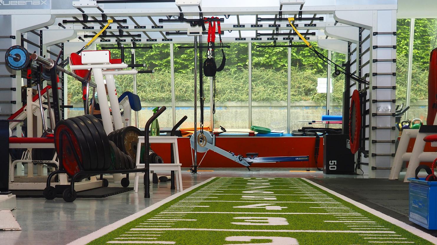 Fitnessstudio mit grüner Trainingsfläche, Hanteln, verschiedenen Geräten und Fenstern mit Blick ins Freie.